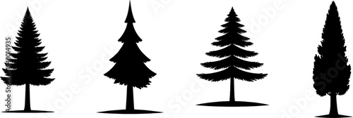 Silhouette of Four Evergreen Trees Isolated on White