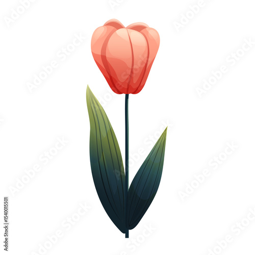 Tulip. Delicate flower with gradient shading. Isolated on white background, suitable for spring design, cards, patterns or packaging. Vector.
