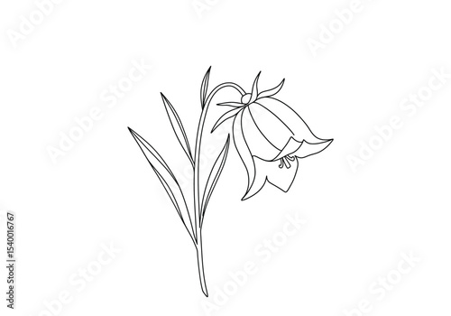 Bell flower drawing. A black and white outline image of a bell-shaped flower, also known as campanula, with a drooping bloom, distinct petals, a stem, and slender leaves. Vector sketch line art draw.