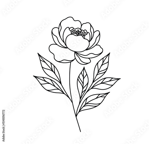 Big flower drawing. It is a black and white outline image of a large, prominent flower, possibly a peony or rose, with a blooming head, stem, and several detailed leaves. Vector sketch line art draw.