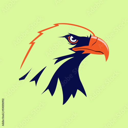 Vector illustration of a eagle head