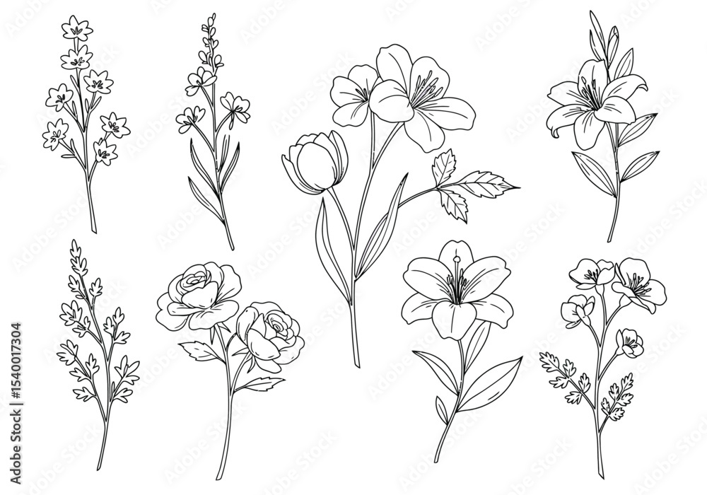 Floral drawing. A black and white outline image of a collection of various floral elements, single blooms, sprigs, and small branches, a range of flower types. Vector sketch line art draw. Floral drawing. A black and white outline image of a collection of various floral elements, single blooms, sprigs, and small branches, a range of flower types. Vector sketch line art draw.