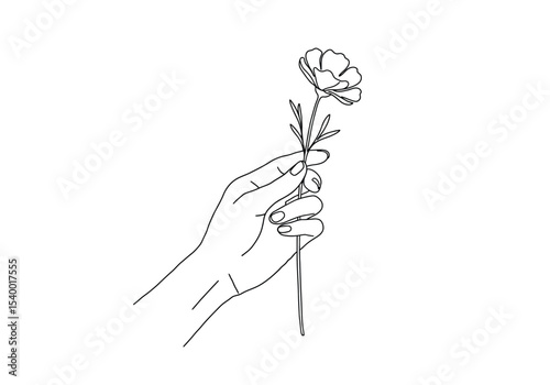 Hand holding flower drawing. It is a black and white outline image of a delicate hand gently holding a single, slender-stemmed flower with open petals and small leaves. Vector sketch line art draw.