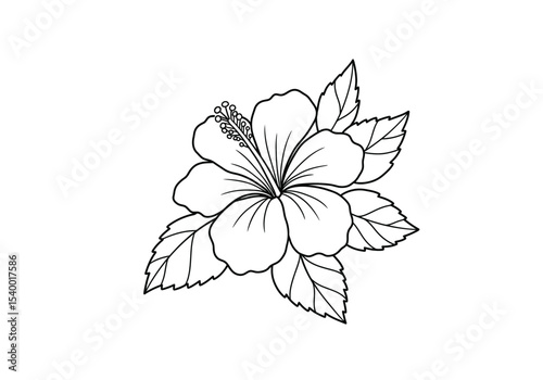 Hawaii flower drawing. It is a black and white outline image of a single hibiscus flower, its broad petals, prominent stamen, and a cluster of surrounding leaves. Vector sketch line art draw.