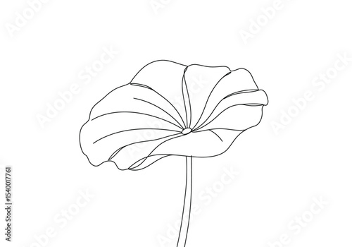 Lotus leaf drawing. A black and white outline image of a single lotus leaf, or water lily pad, with its characteristic round shape, slightly wavy edges, radial veins. Vector sketch line art draw.