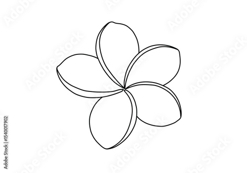 Plumeria flower drawing. It is a black and white outline image of a single plumeria flower, featuring five distinct, overlapping petals arranged in a pinwheel shape. Vector sketch line art draw.