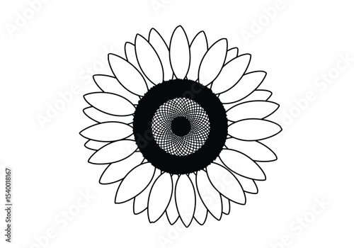Sunflower drawing. A black and white outline image of a sunflower head, featuring concentric circles of petals around a detailed central disk, evoking a sense of growth. Vector sketch line art draw.