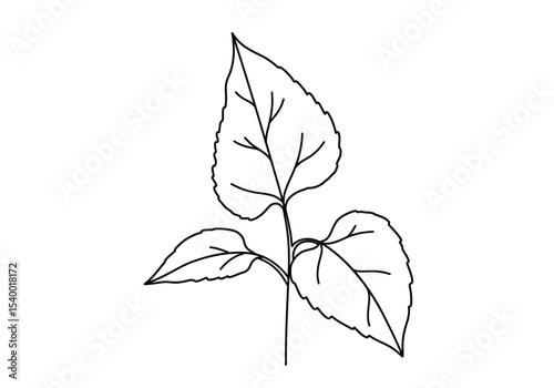 Sunflower drawing. A black and white outline image of a sunflower head, featuring concentric circles of petals around a detailed central disk, evoking a sense of growth. Vector sketch line art draw.