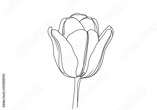 Tulip sketch drawing. It is a black and white outline image of a single tulip flower bud, its tightly closed petals and a slender stem. Vector sketch line art draw.