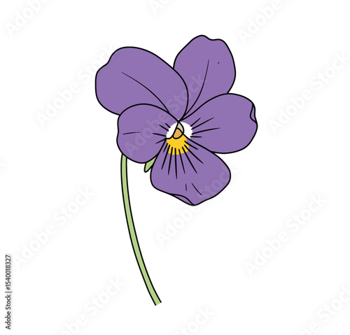 Violet flower drawing. It is a colorful outline image of a single violet flower with five purple petals, a yellow and white center, and a simple green stem. Vector sketch line art draw.
