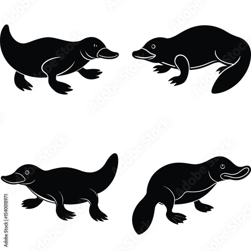 platypus vector