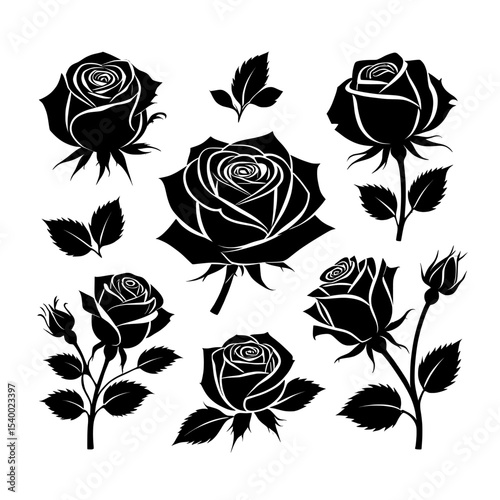 set of roses vector , Collection of black and white rose silhouettes on white on transparent background , no background 