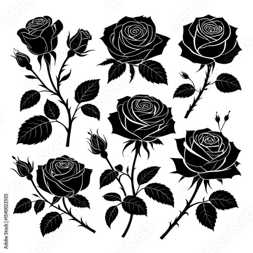 Silhouette illustration of black roses on a white background on transparent background , no background 