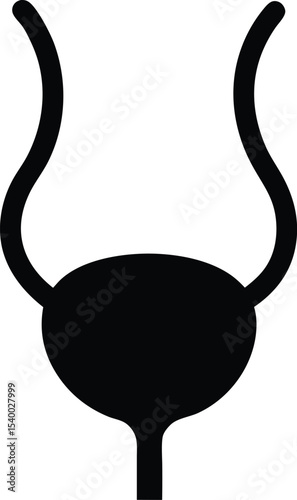 Human bladder urinary system icon  vector illustration on transparent background.