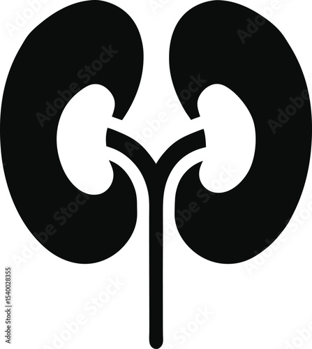 Human kidney silhouette icon  vector illustration on transparent background.
