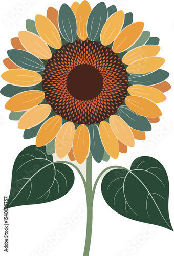 sunflower vector illustration
