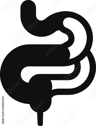 Human intestine silhouette icon  vector illustration on transparent background.