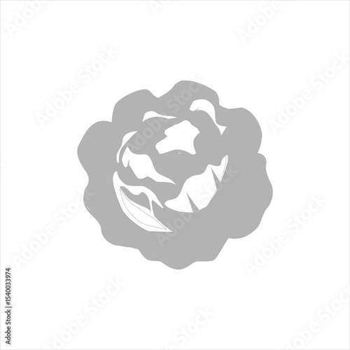 cabbage icon on white background, vector illustration