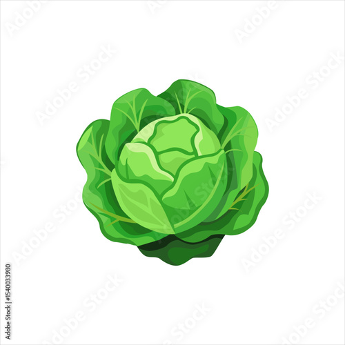 cabbage icon on white background, vector illustration