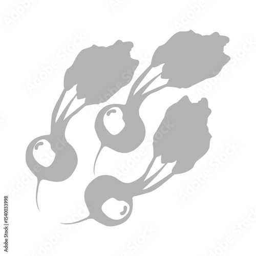 beetroot icon on white background, vector illustration