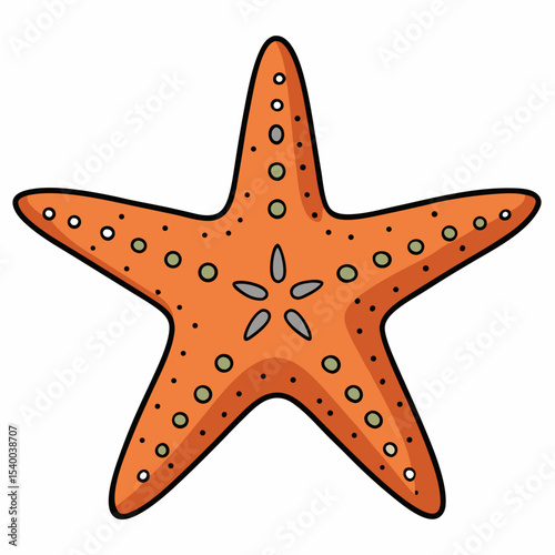Minimal Starfish Illustration