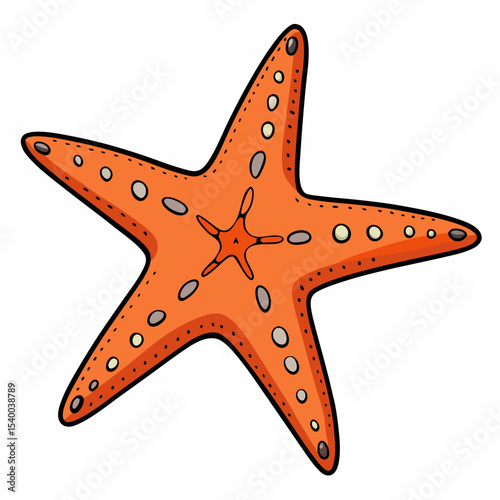 Minimal Starfish Illustration