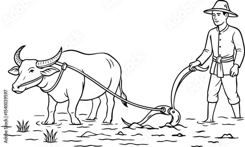 Asian farmer plowing a rice field with a buffalo