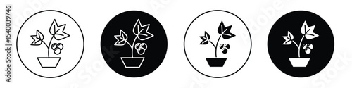 Berry shrubs and vines icon