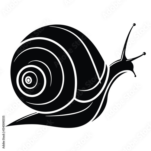 A stylized black snail reveals a swirling pattern with a transparent background