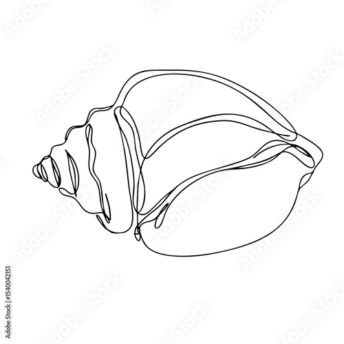 Vector line art of a large conch seashell with spiral detail, marine nature illustration