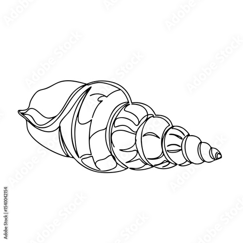 Vector line art of a tall spiral seashell, elongated ocean shell illustration