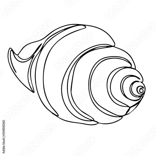 Vector line art of a rounded sea shell with spiral center and layered surface