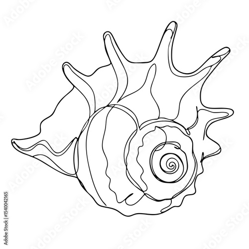 Vector line art of a spiked murex shell with swirling spiral, sea creature outline illustration
