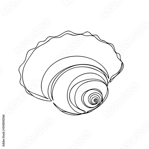 Vector line art of a simple rounded shell with spiral center, minimal beach object illustration