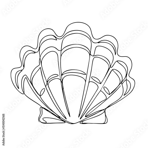 Vector line art of a stylized scallop shell with flared symmetrical ridges
