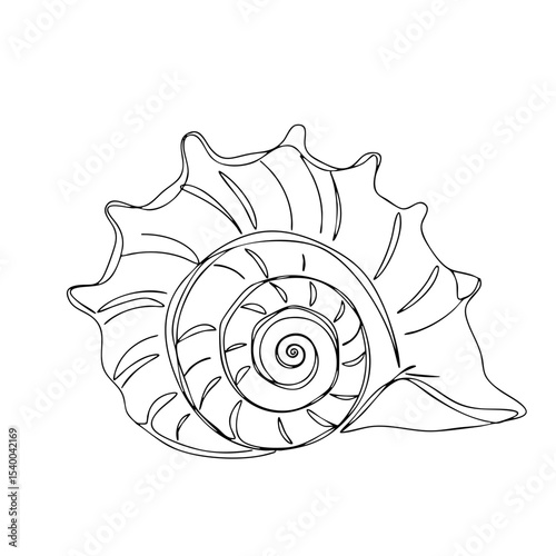 Abstract stylized sea snail shell with curled form, vector line art illustration