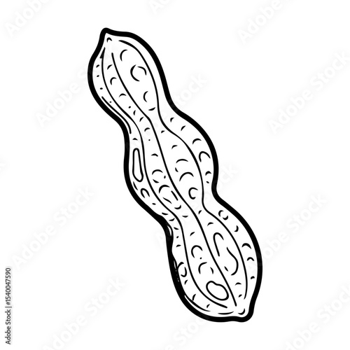 Peanut raw in skin. Hand drawn doodle vector. Ripe bean nut. Natural food. Organic ingredient. Grain seeds. Agricultural plant. Farm product. Illustration line art element.