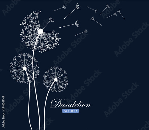 Vector illustration dandelion seed blowing in the wind.