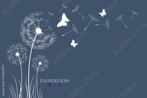 Dandelion with flying butterflies and seeds, vector illustration.
