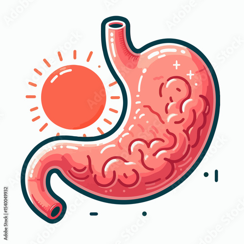 illustration of human stomaach