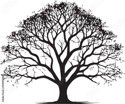  Tree silhouette Vector | Minimalist & Trendy Tree Silhouette Design | Unique & Stylish Tree Artwork for Vector design
