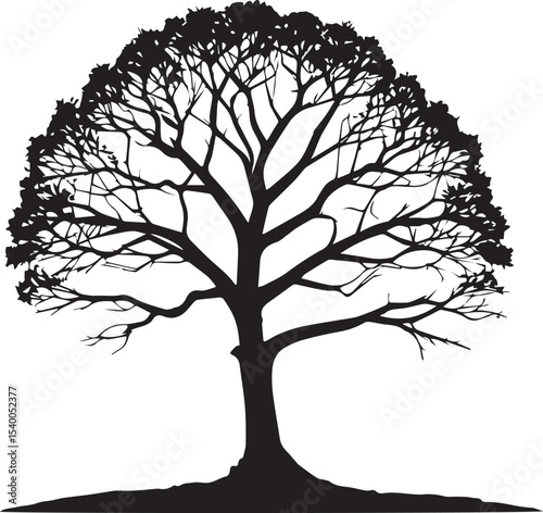  Tree silhouette Vector | Minimalist & Trendy Tree Silhouette Design | Unique & Stylish Tree Artwork for Vector design