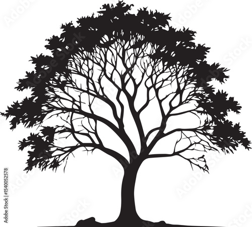  Tree silhouette Vector | Minimalist & Trendy Tree Silhouette Design | Unique & Stylish Tree Artwork for Vector design