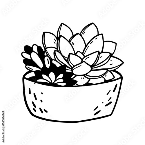 Succulent in Pot Vector Illustration Hand Drawn Style Graphic