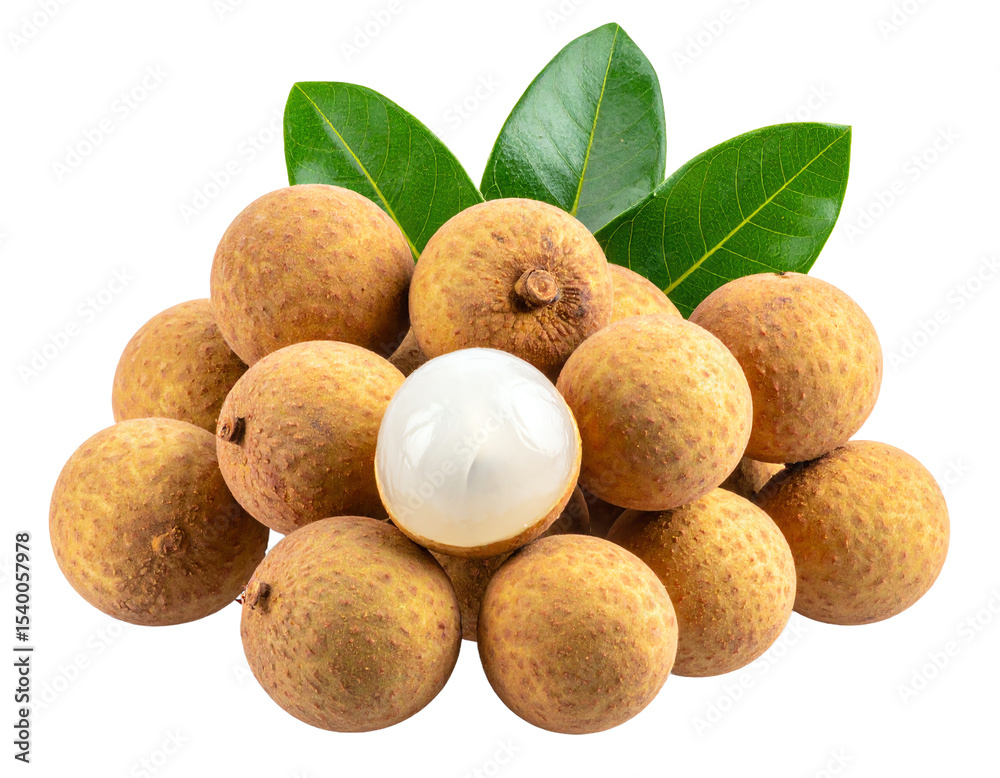 Longan (Dimocarpus longan) on transparent background Longan (Dimocarpus longan) on transparent background