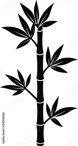 Bamboo Flower Stalk