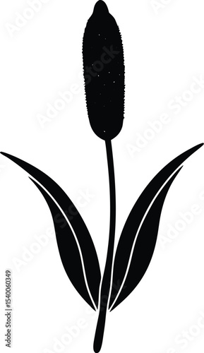 Cattail Bloom