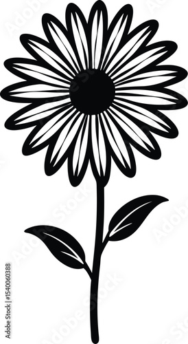 Chamomile