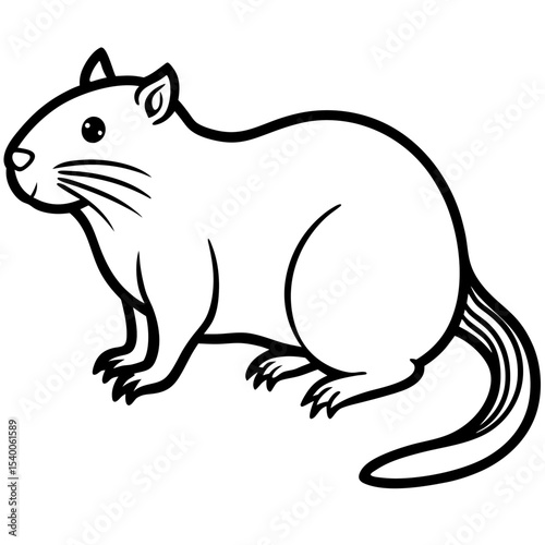 Minimalist Water Vole Line Art Illustration
