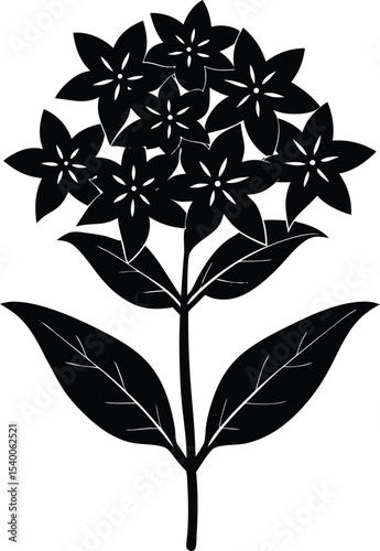 Pentas